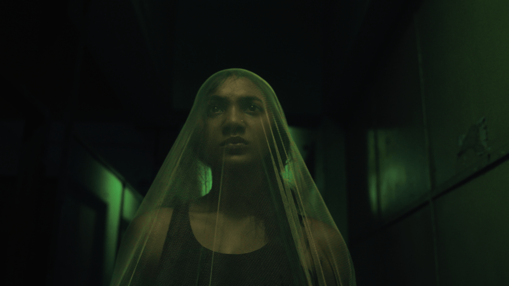 *****Oscar Contender MOSHARI: A utopic non-existence that is set in the coming of time, where the Moshari (mosquito net) is the ultimate defence against the dreaded parasitic&nbsp;Culicidae.